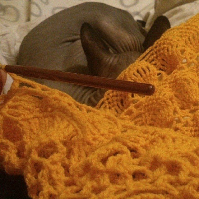 Погожий денек