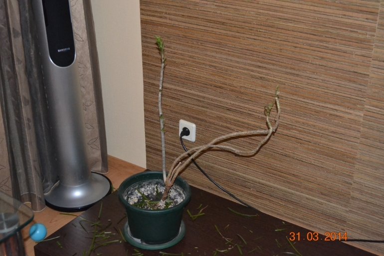 будни апреля 2014