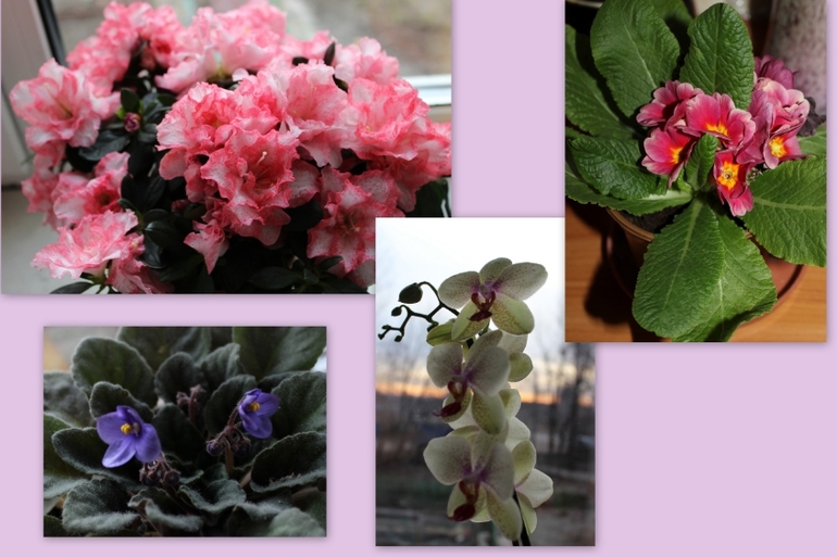 А у меня весна:)