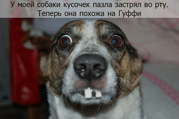 А улыбнуться?