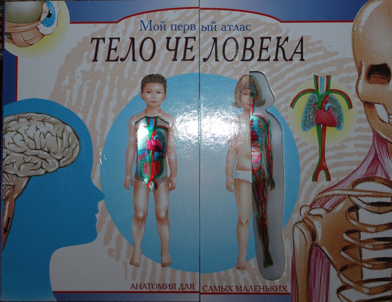 Пополнение детской библиотеки