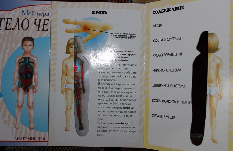 Пополнение детской библиотеки