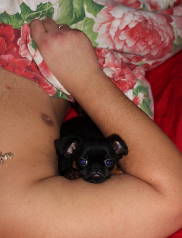 Бонифацию пол годика:)