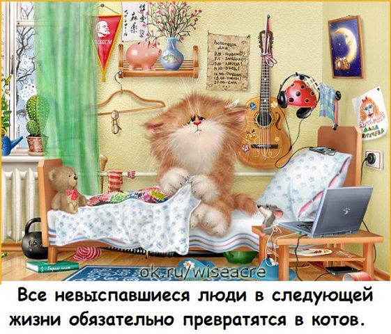 Немного позитива.