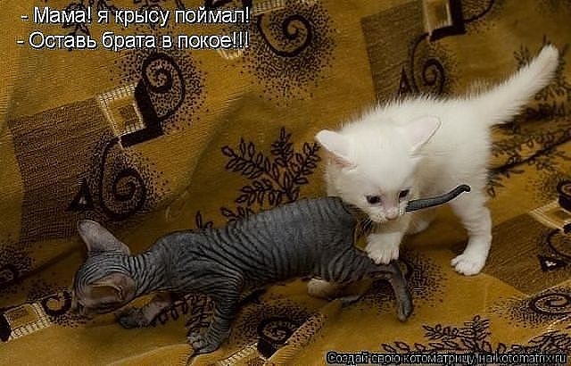 Порция пятничного позитива:)