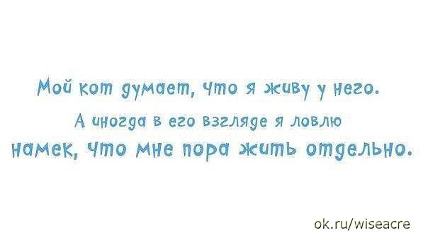 Немного позитива.