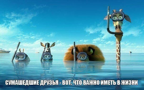 Порция пятничного позитива:)