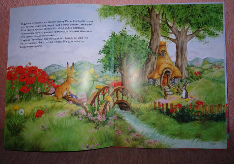 Книга, которую любит Лиза