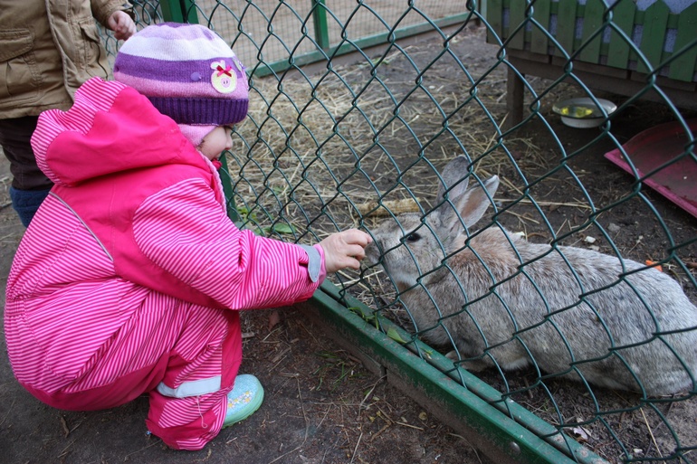 Наши гуляши