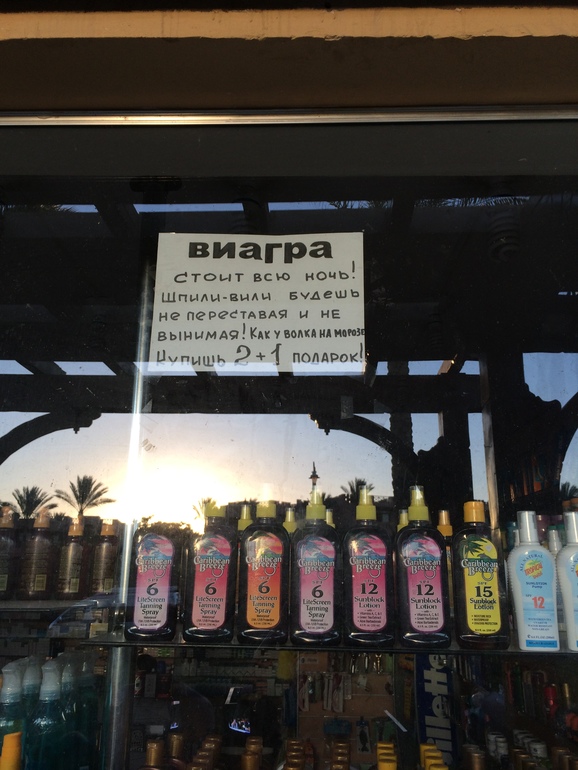 Прилетели из Египта!