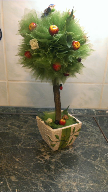 Первое деревце.