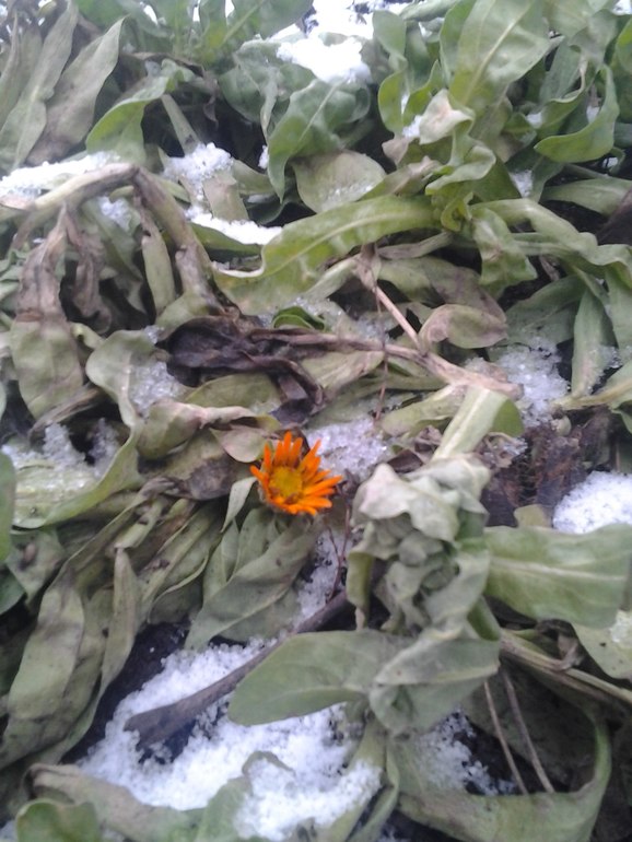 Почти зима, ё-маё!