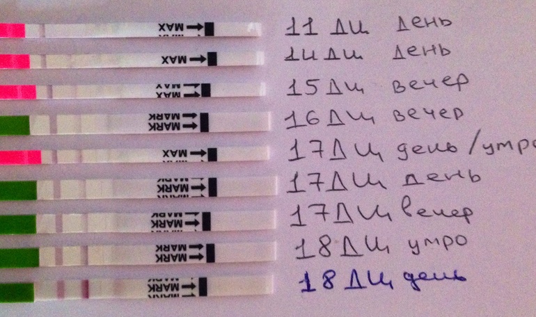 Когда была овуляция? И норм ли график?)