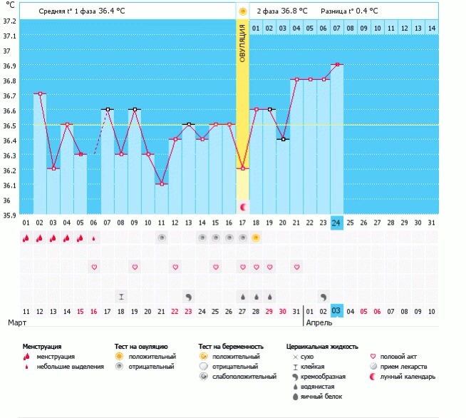 Когда была овуляция? И норм ли график?)