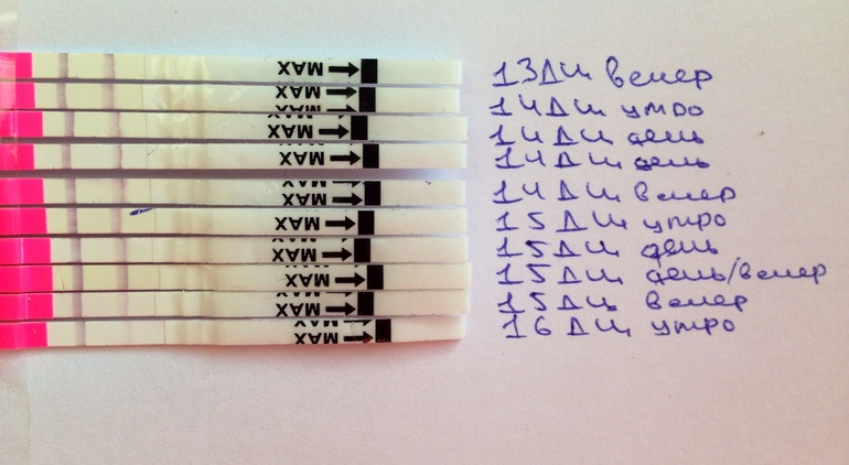 Последний пост об овуляции) обещаю)))