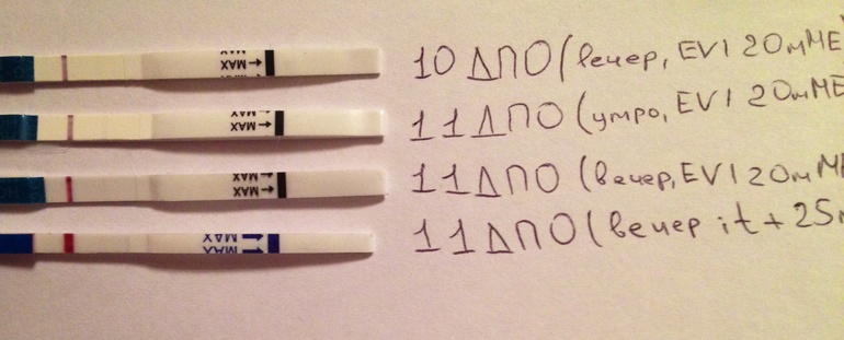 Я всем наверно уже надоела(