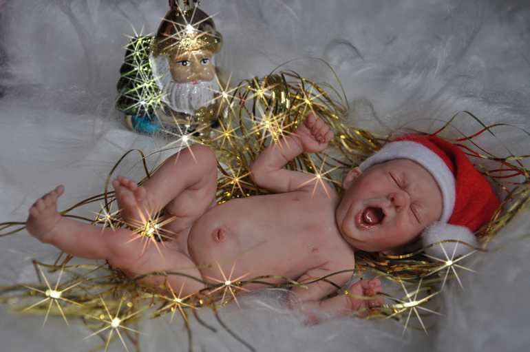 Новые малыши