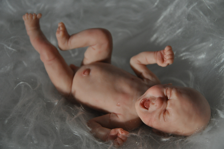 Новые малыши