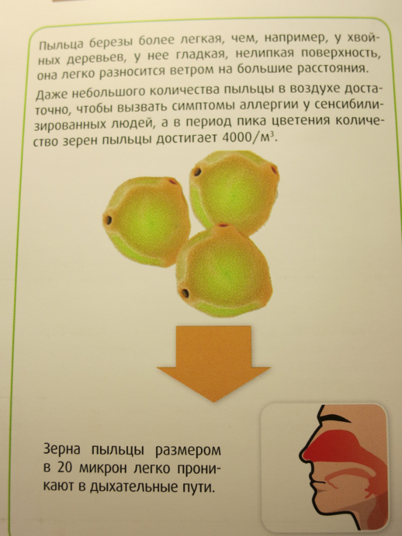 Поллиноз подтвердился.