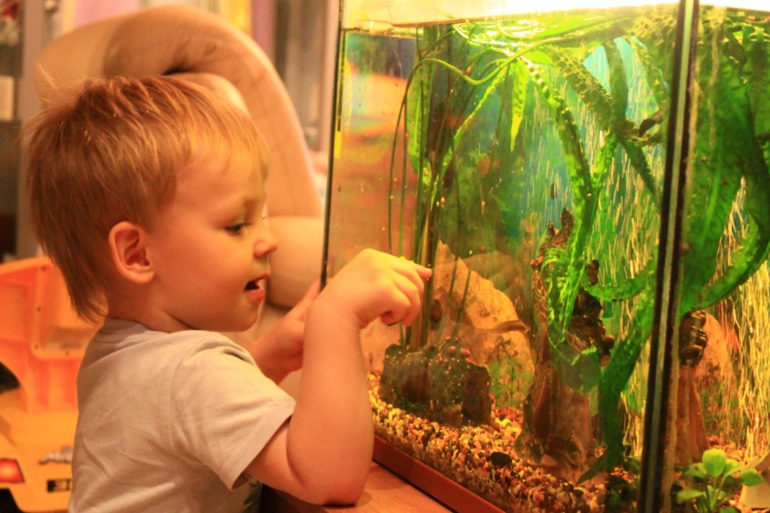 Ура, четырнадцатый пошел!!!