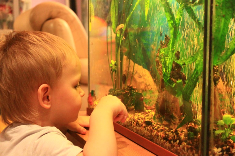 Ура, четырнадцатый пошел!!!