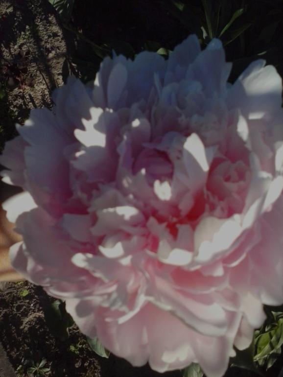 Хочу скорее лето!!!