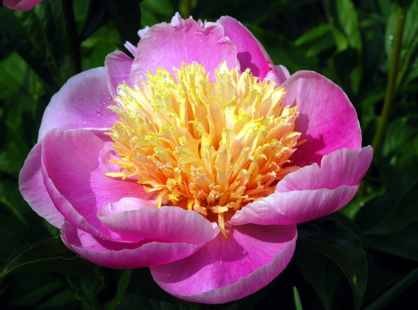 Хочу скорее лето!!!