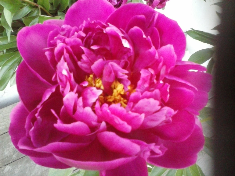 Хочу скорее лето!!!