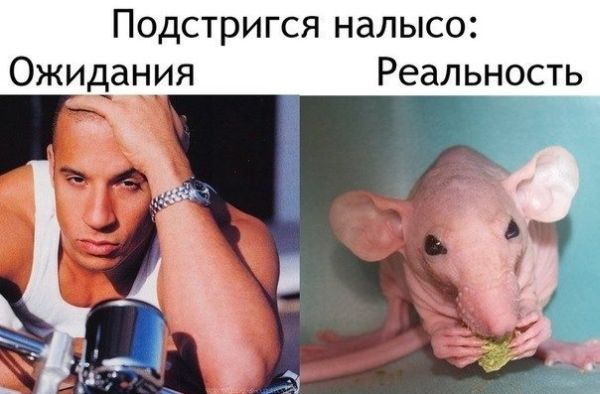 ожидание и реальность...