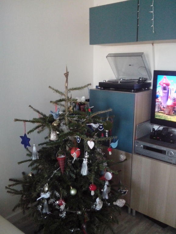 Спальня-гостиная