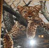 А у нас замечательная посылка из Челябинской области!!!!