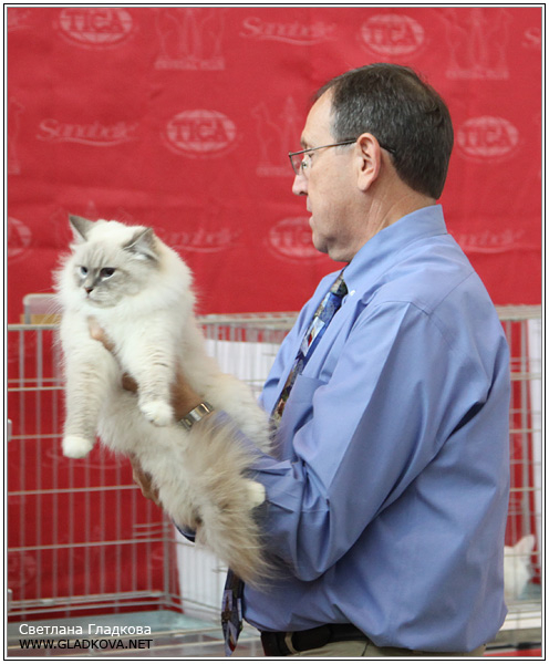 проголосуйте пожалуйста