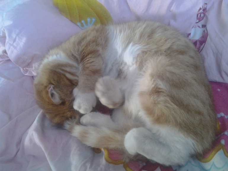 Кто не спрятался?