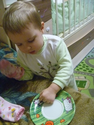 ТН Домашние животные. Заключительный день