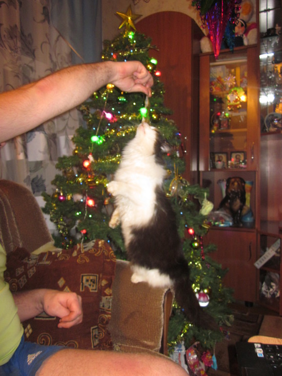 Немного новогоднего!