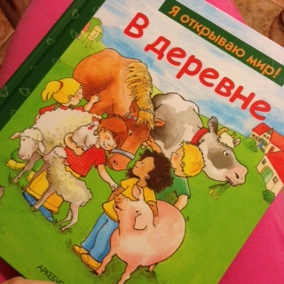 домашние животные ( отчет )