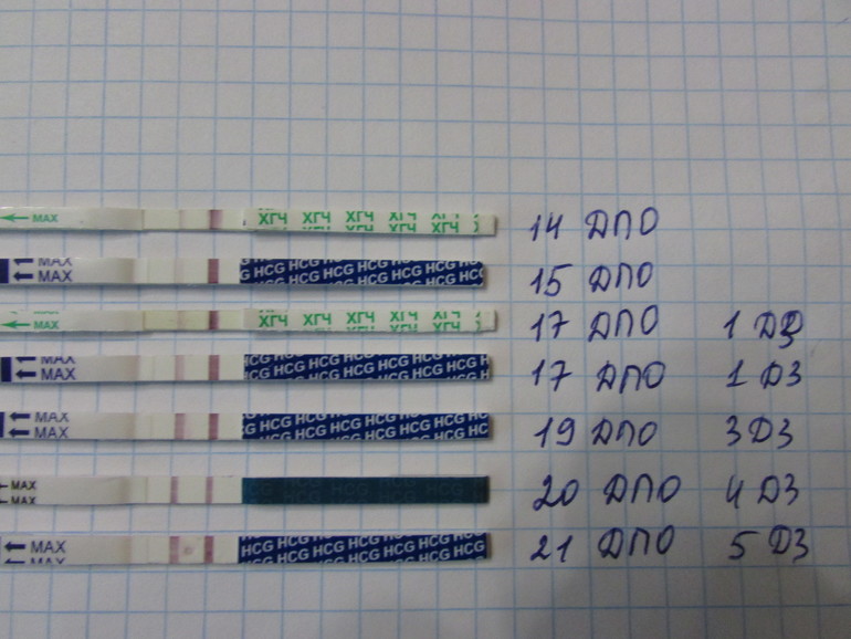 Наша динамика! )))