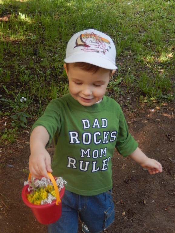 Что за растение? Не вредно ли для здоровья?