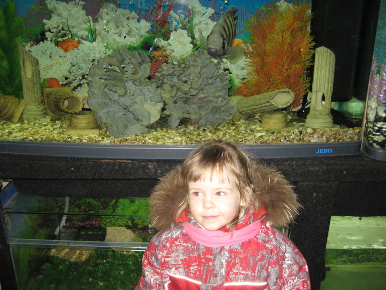 Обо всем понемногу... с фото