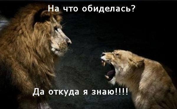 я справа?