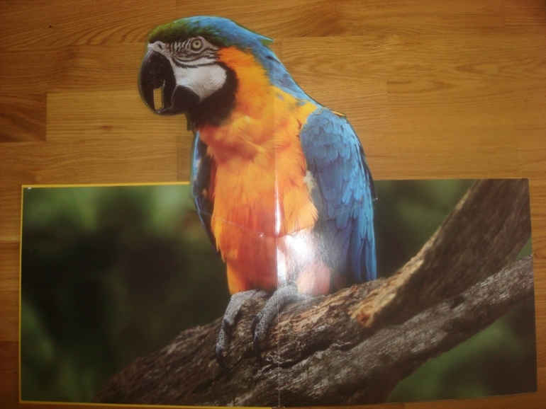 Большой книжный май. Часть 1-я.