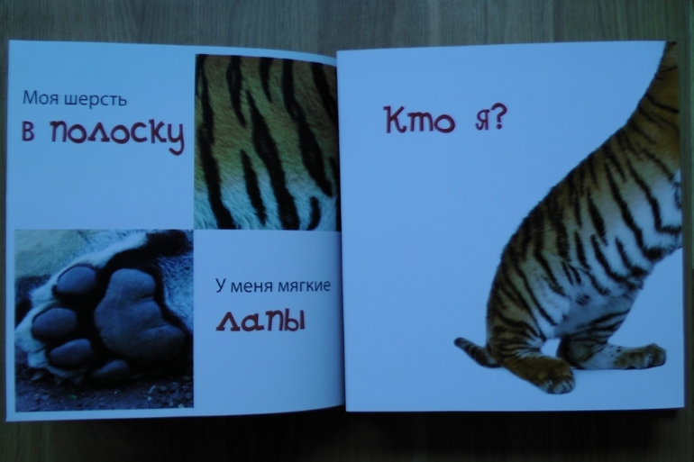 А у нас опять книжное пополнение...