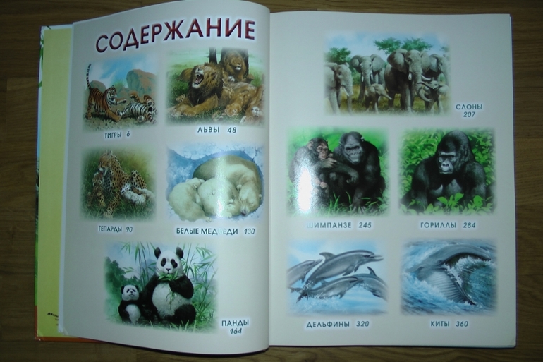 Первые летние приобретения: серьезные и не очень. Или: кто ищет - тот всегда найдет!!!