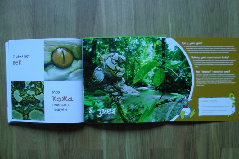 А у нас опять книжное пополнение...