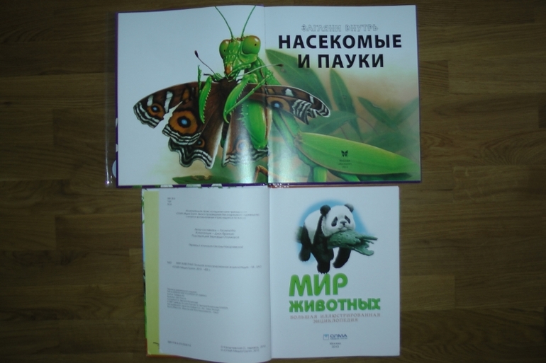Первые летние приобретения: серьезные и не очень. Или: кто ищет - тот всегда найдет!!!