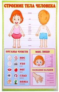 ТН Гигиена, чистота, режим дня, здоровый образ жизни