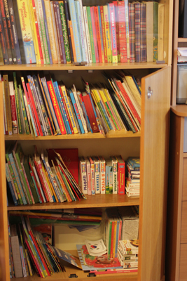 Книжный шкаф (наши книги)