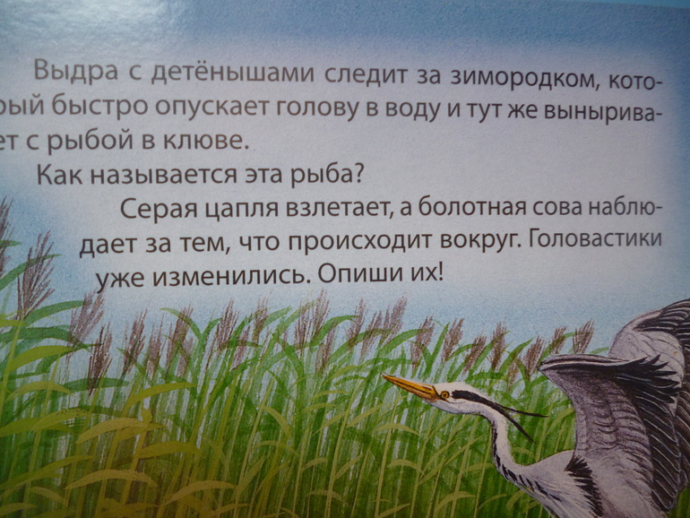 Первые книги малыша. Учим новые слова (бюджетные гляделки, много фото)