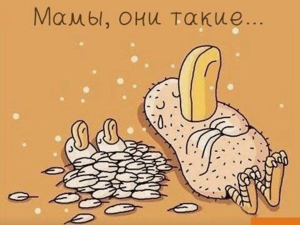 Милые мамочки - с праздником!!!!