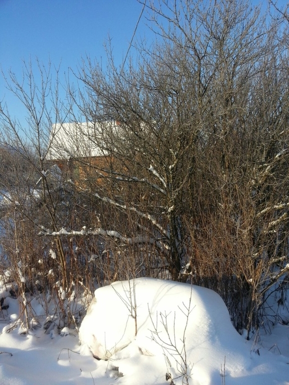 Наша стройка. Новости января. +фото